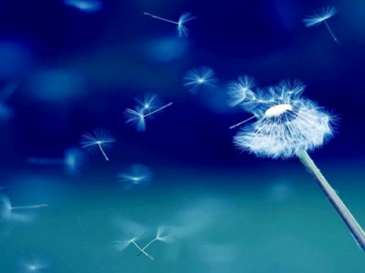 机机和机机手机免费下载版2025,奇幻游戏免费来袭，探索新世界！-2